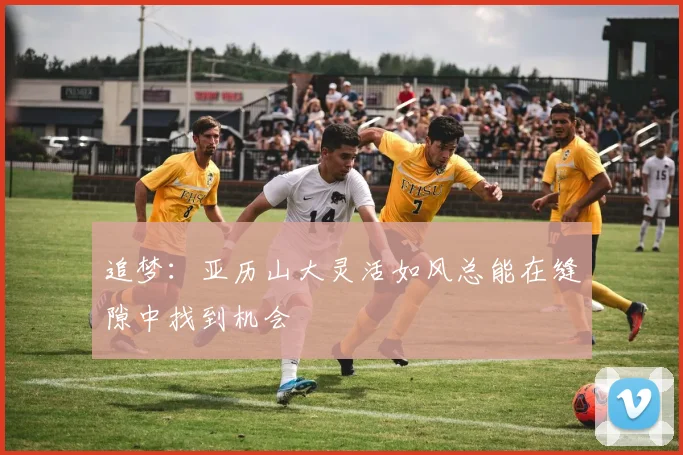 追梦：亚历山大灵活如风总能在缝隙中找到机会
